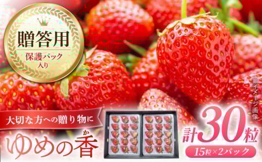 【贈答用/お歳暮発送】いちご ゆめの香 30粒（15粒×2パック）化粧箱入 長崎県/わたる農園 [42AABB003] イチゴ 苺 フルーツ 贈答 プレゼント ギフト