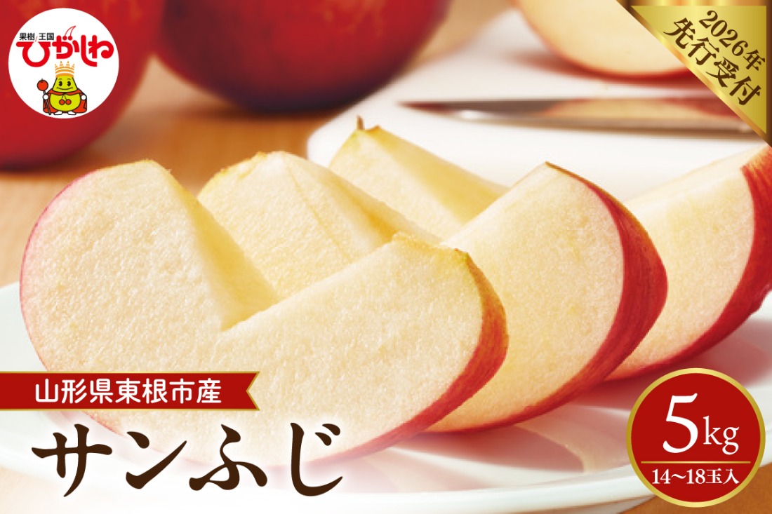 【2026年産先行予約】 太陽の恵みをいっぱいに浴びたりんご「サンふじ」 約5kg (14～18玉入) 山形県 東根市　hi026-062