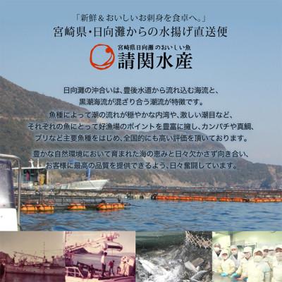 ふるさと納税 門川町 【毎月定期便】海鮮 お魚漬け丼(門川町)全5回 |  | 01