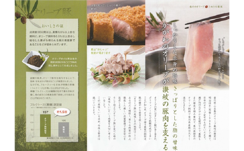 豚肉 定期便 3回定期便 偶数月お届け 隔月 オリーブ豚 香川県産 国産 ロース スライス 1kg 500g × 2パック ローススライス 豚ロース 豚ロース肉 薄切り 小分け しゃぶしゃぶ 国産豚 