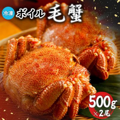 ふるさと納税 恵庭市 冷凍ボイル毛蟹 500g×2尾【7100801】