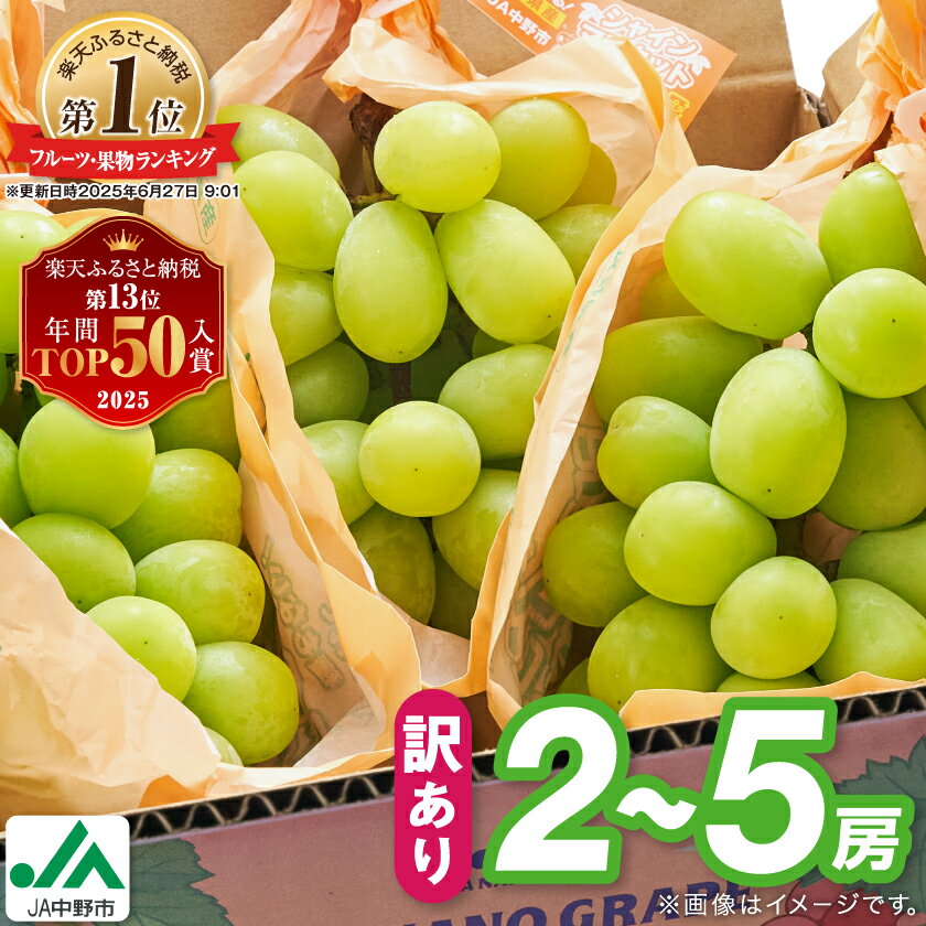 ＼ランキング1位／【 訳あり 】 2024年9月下旬～随時発送 シャインマスカット 【先行受付】■2024年発送_訳ありシャインマスカット3房1.3kg以上 ご自分へのご褒美シャインマスカット JA中野市から産直_ 【配送不可地域：離島・北海道・沖縄県】