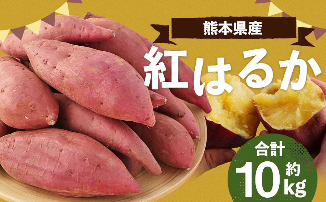 
                  ＜ R8年熊本地震復興支援 ＞熊本産 紅はるか 約10kg 【2026年11月上旬-2027年3月下旬発送予定】
                