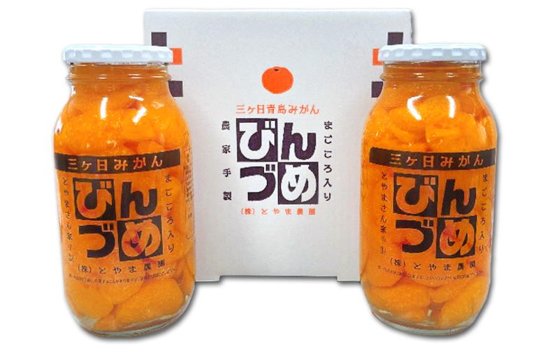 三ヶ日みかん みかんのびん詰詰め合わせ2本セット（900g×2
