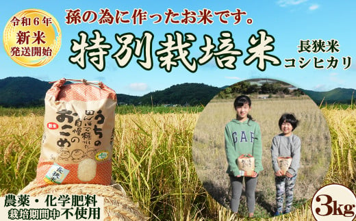 【令和６年新米（9月中発送可）】孫のために作りました！田代農園の『特別栽培米』《精米》 ３kg　[0010-0159]