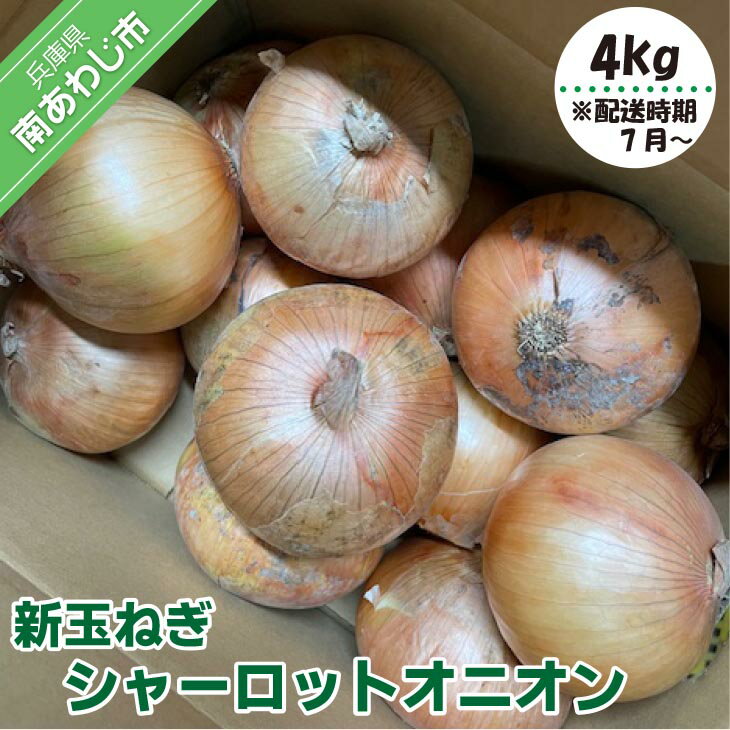 【ふるさと納税】【7月以降発送】新玉ねぎ　シャーロットオニオン 4kg◆配送 7月上旬〜9月末