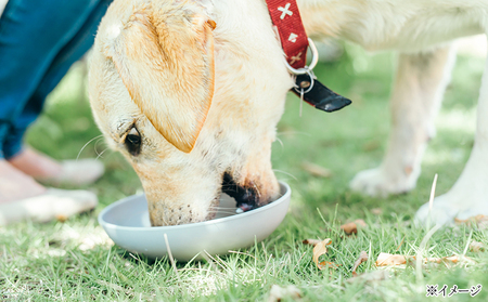 【ドッグフード】シカ グリーントライプ 150g（粉末タイプ）