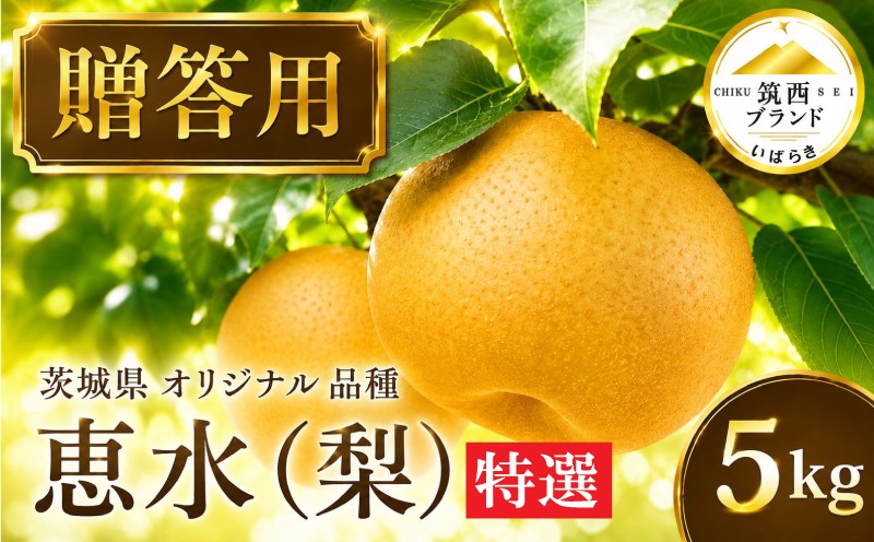 
                  梨 特選 恵水 5kg 2026年産 先行予約 梨 果物 フルーツ なし ナシ 赤梨 贈り物 贈答 贈答用 JA 北つくば 筑西ブランド 認証品 関東 茨城 筑西
                