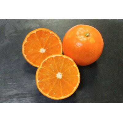 【ふるさと納税】【訳あり】鹿児島県枕崎市産　濃厚完熟たんかん5kg A8-6【配送不可地域：離島】【1473862】