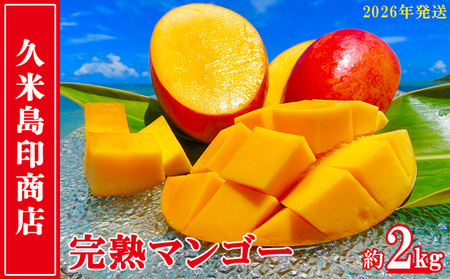マンゴー【2026年発送】久米島印商店 完熟マンゴー 約2kg  フルーツ 果物