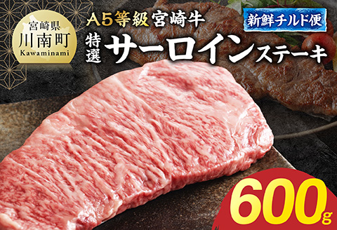  【A5等級】【新鮮チルド便】宮崎牛特選サーロインステーキ　600g【 肉 宮崎 ステーキ 牛肉 おかず A5 】 [B13206] 600g