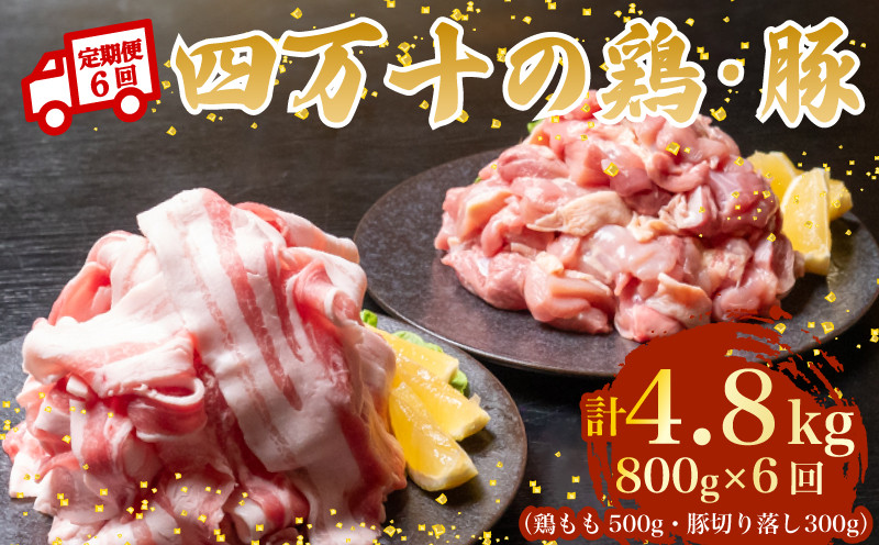 
            【6ヶ月連続】四万十ブランド 鶏肉500g 豚肉300g（計800g×6回）4.8kg 6回定期便 5Nコース｜ 四万十ポークスライス 四万十ポーク 豚バラ肉 小分け 小間切れ スライス 切り落とし 冷凍 真空パック 細切れ 切身 カット 一口大 カット済み  四万十鶏 鳥肉 とりにく 鶏もも 国産 ブランド 唐揚げ 煮物 鍋 チキン 高知県 須崎市 TM120000
          