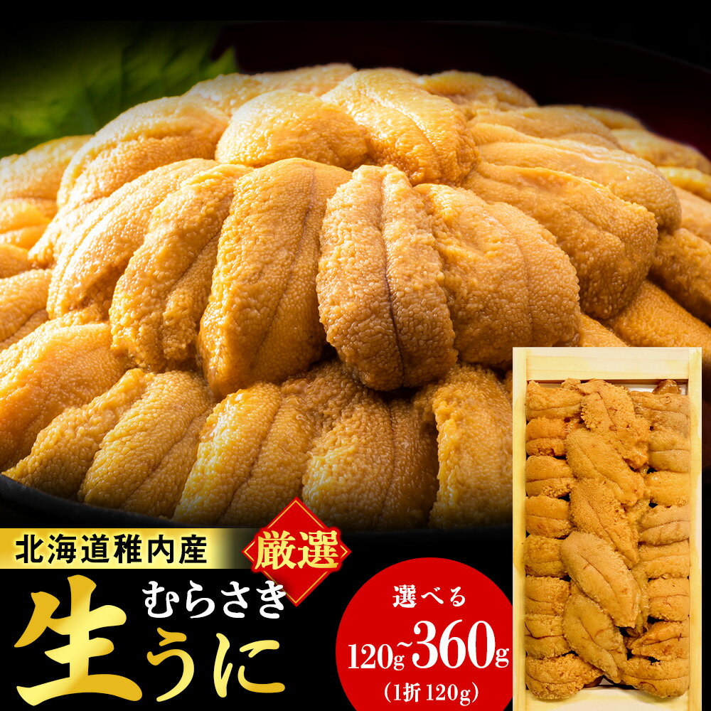 【ふるさと納税】【レビューキャンペーン実施中】【厳選PREMIUM】美味しいウニは昆布の名産地にあり!生むらさきうに 選べる1〜3パック 1パック120gムラサキウニ うに むらさきうに 生うに 海鮮 海産物 北海道ふるさと納税 稚内 【配送不可地域：離島・沖縄県】
