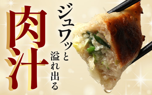 【ひかり麦豚】ちょっと大きな 餃子 42個 セット HM-707