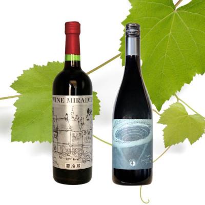 ふるさと納税 山梨市 山梨市産　ヤマソービニオン2本セット