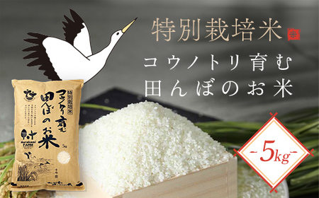 【令和8年産】特別栽培米 コウノトリ育む田んぼのお米 5kg (5kg×1袋)〈村上ファーム〉お米 おこめ 米 こめ コメ ご飯 ごはん 白米 5キロ 5㎏ 兵庫県 朝来市 AS1BC16