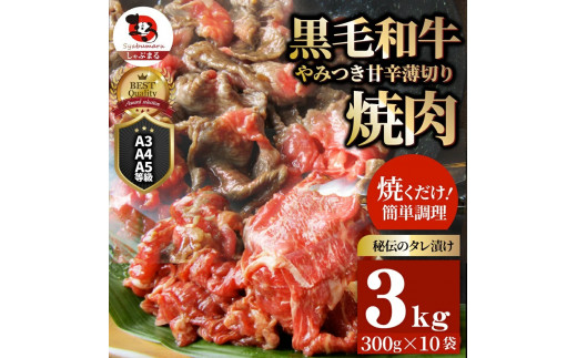 
1131-4　とろける黒毛和牛リッチな薄切り焼肉3kg(300g×10P) 秘伝のタレ漬け
