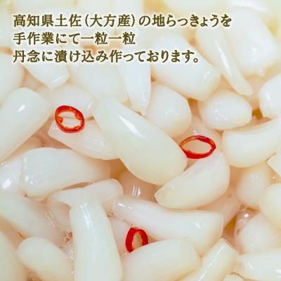 ふるさと納税 愛南町 ふるさとの味 国産らっきょ 1kg
