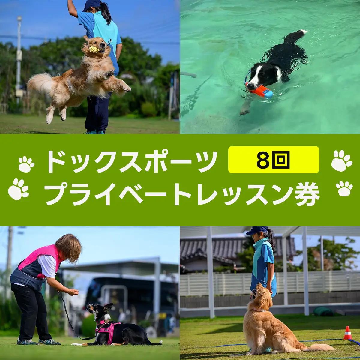ドックスポーツ プライベートレッスン券（８回/1時間×８回） ふるさと納税 ドッグスポーツ 利用券 チケット 犬 イヌ 千葉県 白子町 送料無料 SHAI003