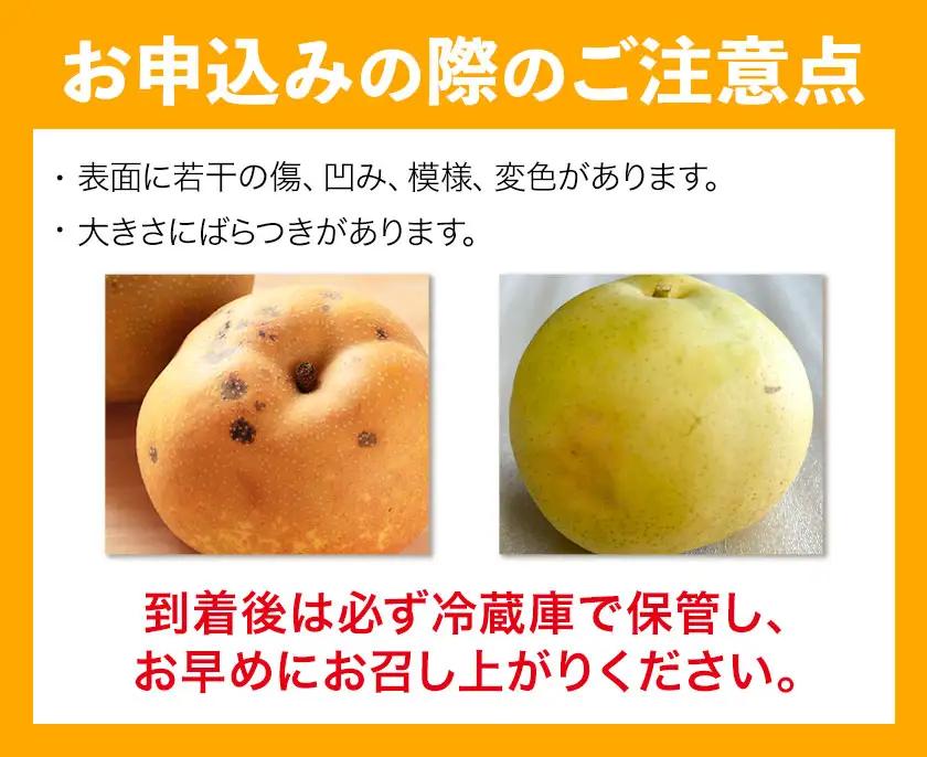 先行予約 旬の梨 約4kg 幸水 豊水 あきづき 新高 にっこり《8月上旬-10月中旬頃出荷予定》 栃木県 野木町 なし ナシ くだもの 果物 青果物 フルーツ