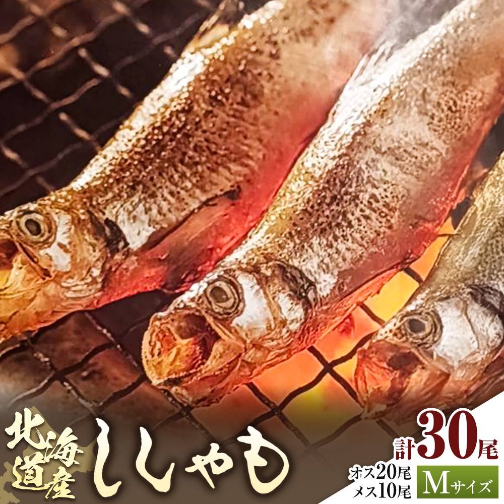 
                  北海道産 ししゃも M30尾Cセット（オス20尾 メス10尾） 有限会社阿部水産《14日以内に出荷予定》北海道 日高町 国産 魚 シシャモ 魚介 海鮮 グルメ 食べ物
                