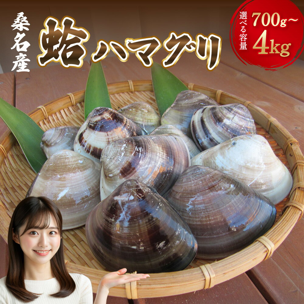 丸元水産　桑名産蛤(ハマグリ)3.0kg