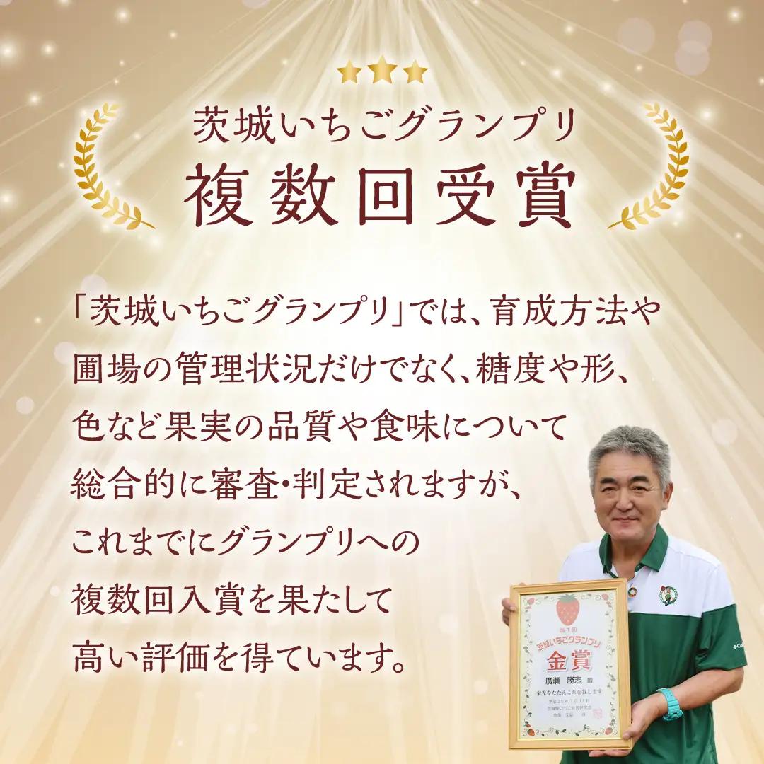 いちご 4種 完熟セット 約1040g 茨城いちごグランプリ受賞農園 