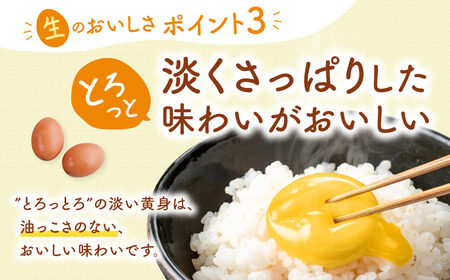 飛鳥の卵（１０個×４箱）定期便１２ケ月 風雅ファーム 奈良市なら 180-001 生卵 たまご 鶏卵 卵 卵ギフト 卵 たまご 卵セット 卵焼き 卵かけご飯 ゆで卵 卵とじ 生卵 鶏卵 卵黄 卵白 卵