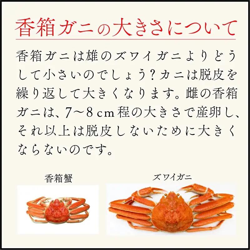 【先行予約】香箱がに 3杯 甲羅盛り 石川初冬の味覚