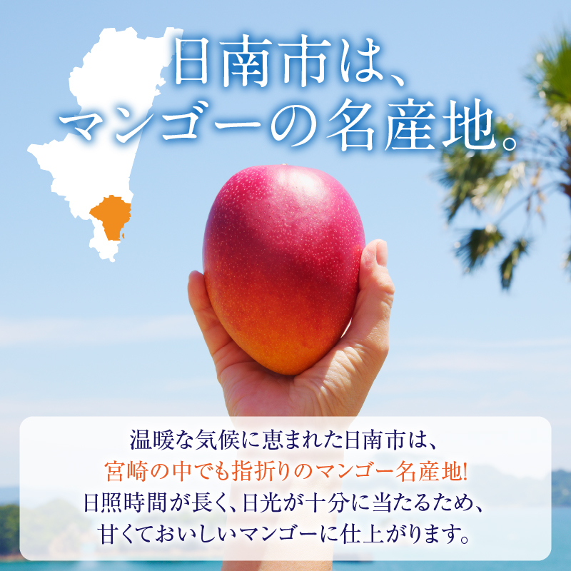 リピーター続出!!≪玉数が選べる≫宮崎県産 完熟 マンゴー 2L以上 令和8年発送分 数量限定 フルーツ 果物 果汁 希少 濃厚 ジューシー 贅沢 ご褒美 お祝い 人気 国産 食品_S-C123-24