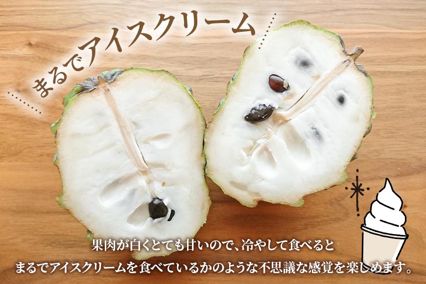 【2027年発送】宮古島産アテモヤ約1kg（２～６個入り）（CV07）