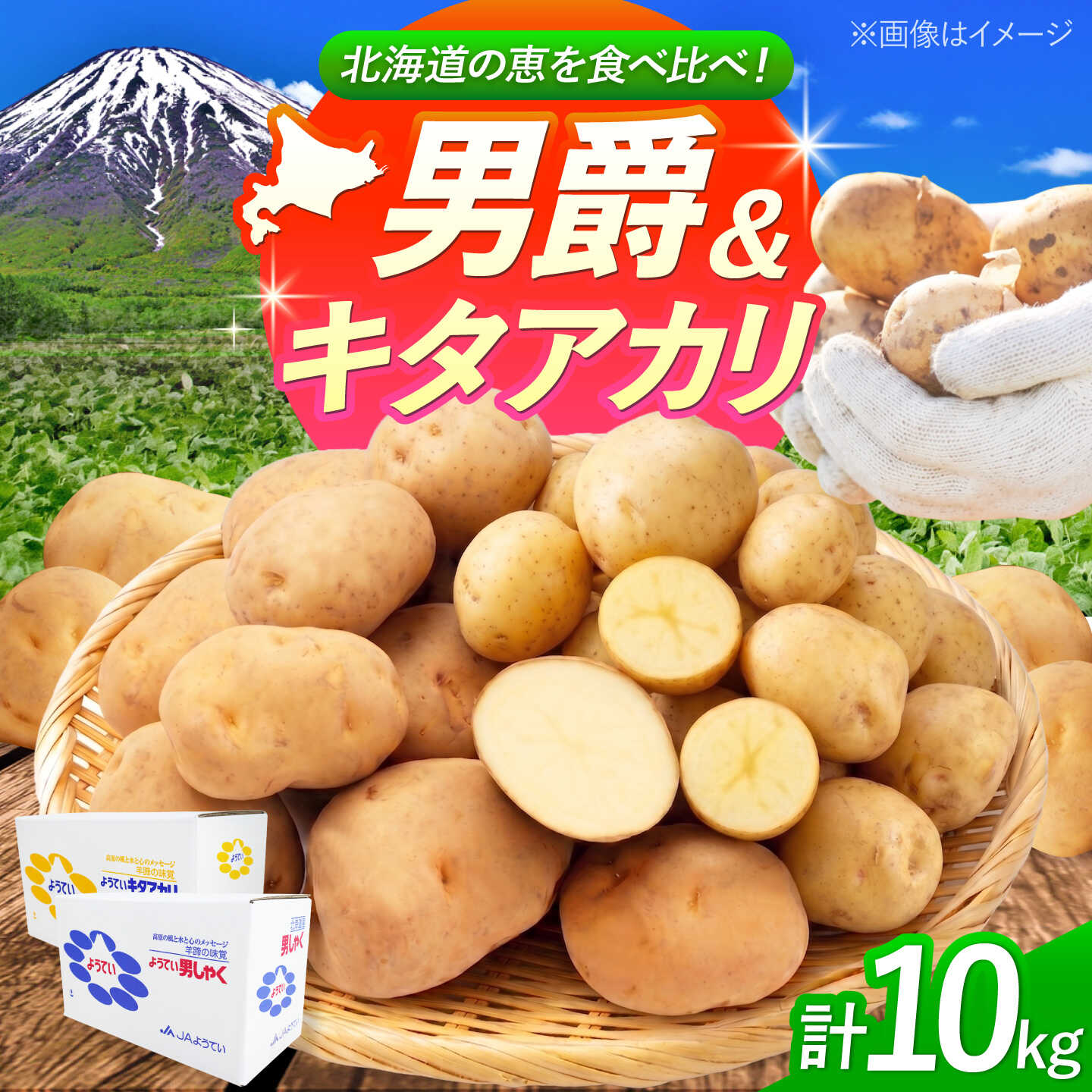 【ふるさと納税】じゃがいも 食べ比べセット（男爵・キタアカリ）計10kg （5kg×2種） | じゃがいも ジャガイモ 男爵芋 キタアカリ 北海道 産地直送 セット 先行予約 | 株式会社Aコープようてい[BPAT010]