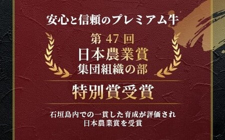 石垣牛ハンバーグセット100g×10個＜2026年3月発送＞ | 沖縄 石垣 牛 黒毛 和牛 ハンバーグ 肉 シークヮーサー 冷凍