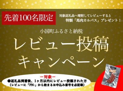 ◆レビューキャンペーン対象品◆【阿蘇牧場】熊本と畜 小国育ち 小国馬 地元産 馬刺し 阿蘇 熊本 小国 国産 阿蘇の大地 放牧馬 赤身 サガリ フタエゴ 各100g 小分け 馬肉 300g 馬刺し醤油