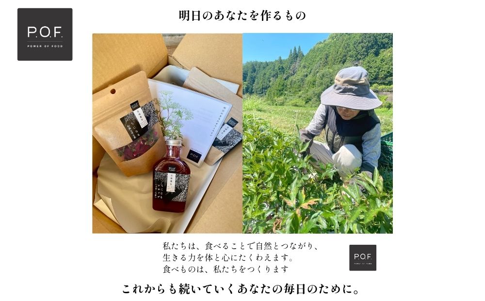 大和当帰葉商品「ちになるシリーズ」フェムテックセット ／POWER OF FOOD ふるさと納税 芍薬 シロップ 瓶 ガラス瓶 国産 食材 炭酸 大和当帰葉 有機 お湯割り 甜菜糖 ハチミツ お茶 ご飯 はちみつ 送料無料 ち 奈良県 宇陀市
