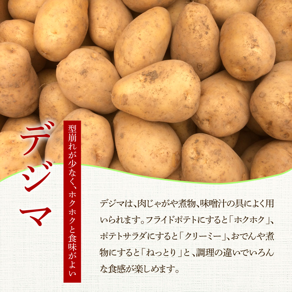 ★先行受付：2025年5月発送開始★大野台地で採れた 令和7年産新じゃがいも『デジマ』10kg 訳あり品 10キロ イモ ジャガイモ 芋 いも ポテト 野菜 おいしい 旬 国産 お取り寄せ 送料無料