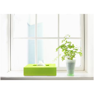 ふるさと納税 海南市 和歌山県海南市 ティッシュBOX カラー グリーン 2個組 すっきりシンプルなティッシュケース |  | 03