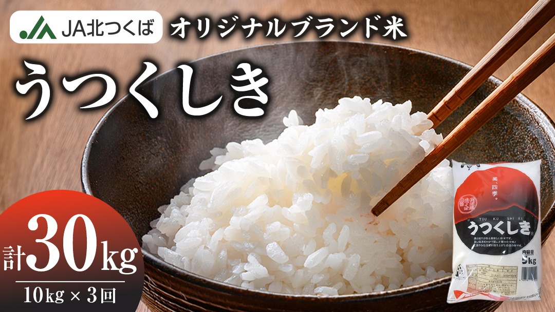 【 定期便 3ヶ月 】 JA北つくば オリジナル ブランド米 「 うつくしき 」 10kg ( コシヒカリ )  ( 5kg × 2袋 ) 令和6年産 農協 JA 米 お米 白米 コメ こしひかり 茨城県 精米 新生活 応援 [AE046ci]