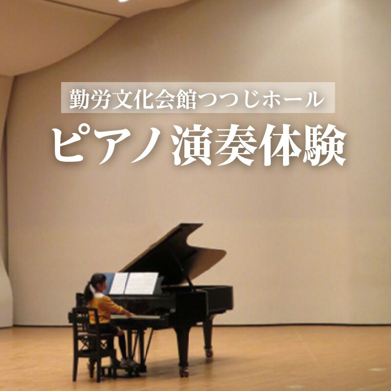 【ふるさと納税】No.115 ピアノ（スタインウェイ）の演奏体験 ／ 勤労文化会館つつじホール 愛知県 チケット 音楽 芸術 ピアニスト コンサート 貸しホール
