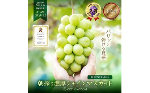 
                  ぶどう 2026年  ［ご家庭用］ シャイン マスカット3～5房（合計2kg以上）【第1回全国ぶどう選手権入賞】| シャインマスカット ブドウ 葡萄  岡山県産 国産 フルーツ 果物 OEC KINGDOM ぶどう家
                