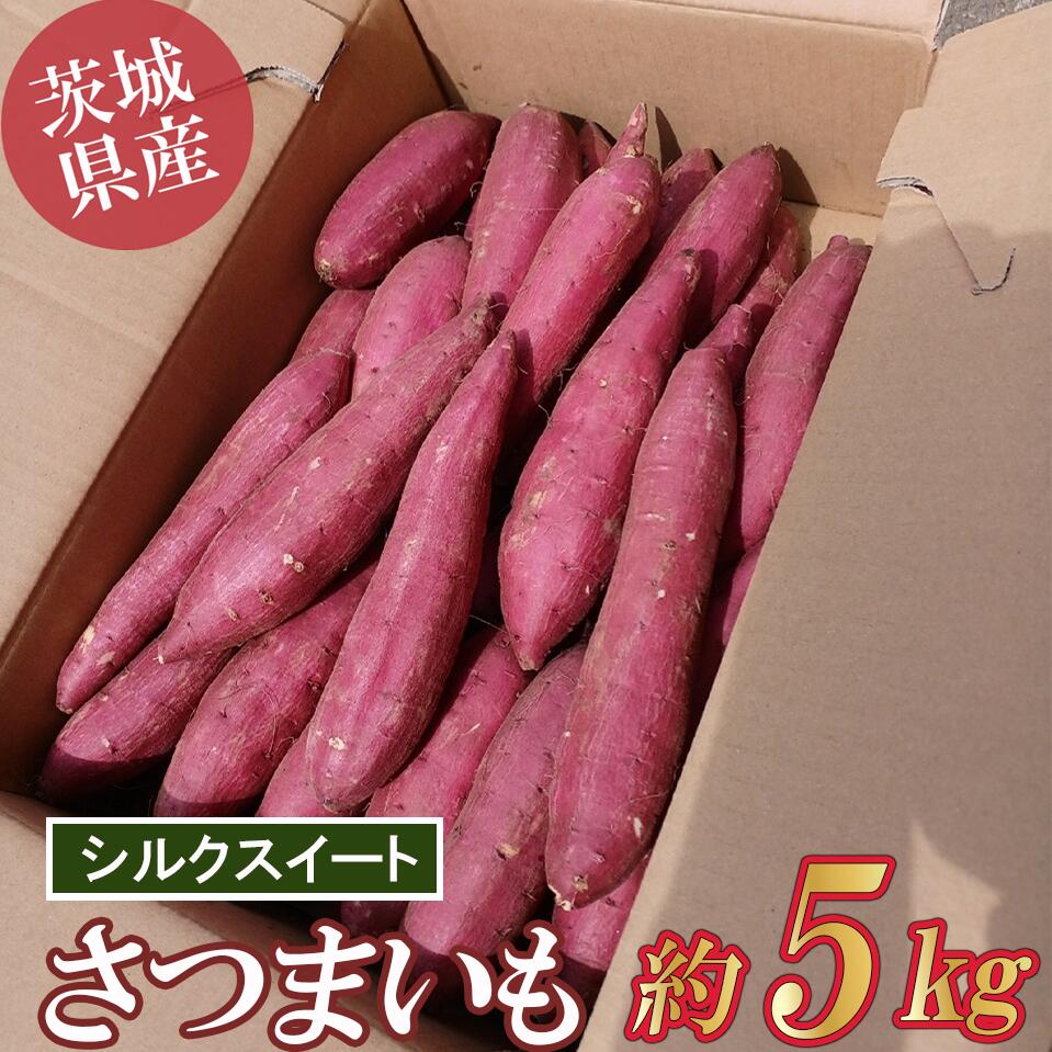 【ふるさと納税】☆先行予約 2025年9月～順次発送☆さつまいも 5kg (シルクスイート)｜茨城県 つくば市 芋 さつま芋 蜜いも 焼き芋 紅はるか しっとり食感 高糖度 秋の味覚 甘藷 10000 10000円