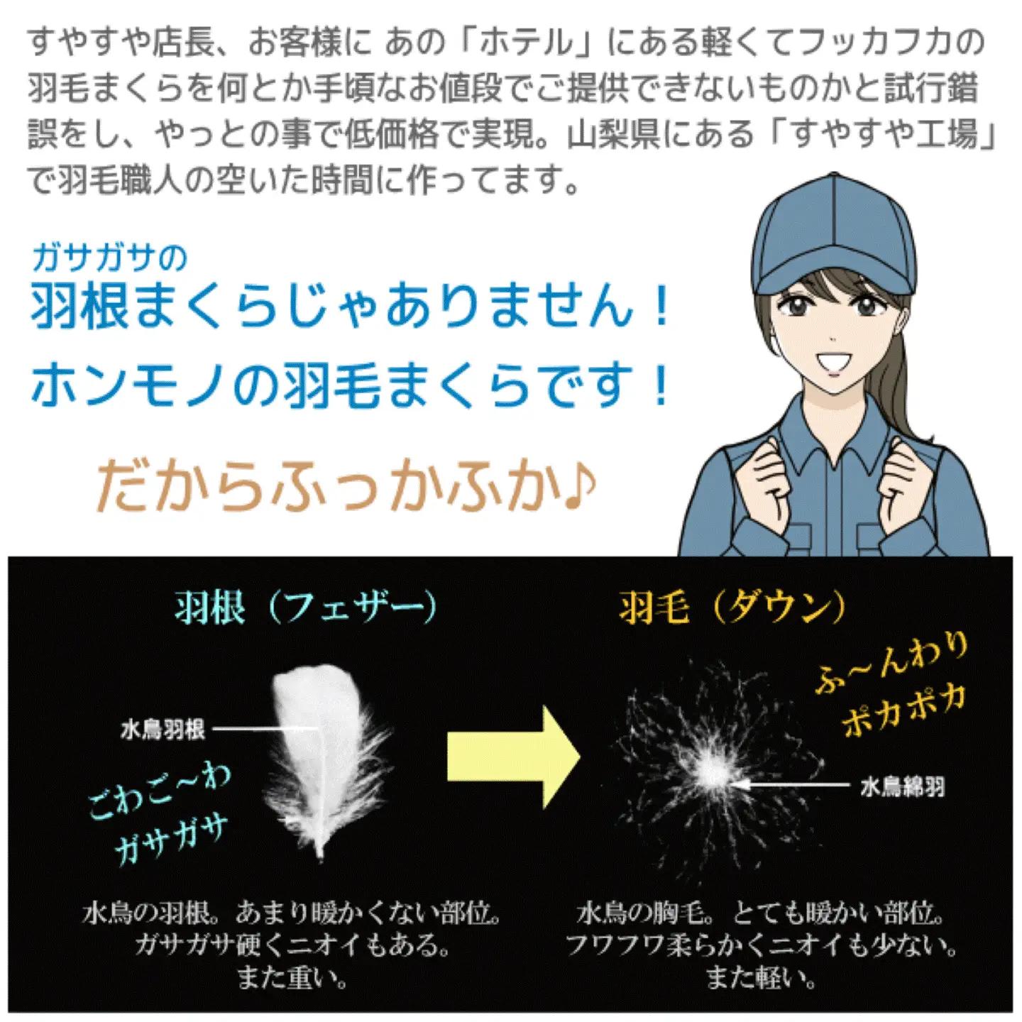 【低め】洗えるダウンピロー（50cmX70cm 390g入り）羽毛 まくら 洗濯可能