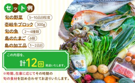 【全12回定期便】壱岐産食材詰め合わせBOX「野菜と魚と壱岐牛」 [JBF032] 壱岐牛 赤身 詰め合わせ 野菜 卵 鮮魚 セット 480000 480000円 48万円 コダワリ野菜・牛肉・魚 こ