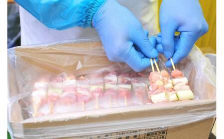 21-2.焼鳥たれ付き豚串4種5本(20本セット) [山本食肉 山梨県 韮崎市 20742067]