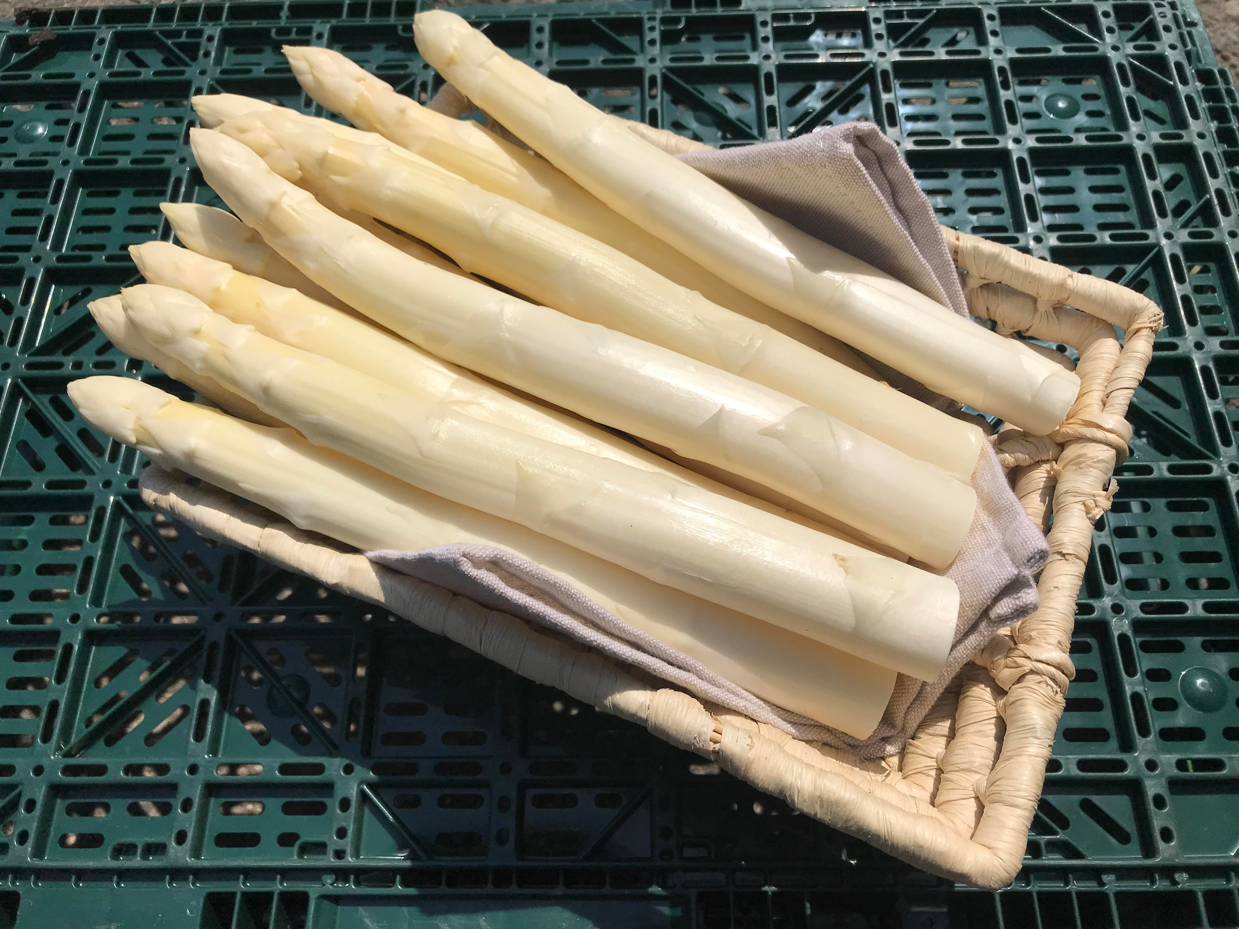 【先行予約】春一番！JAそらち南の味覚「ホワイトアスパラガス」L～4L　1kg前後