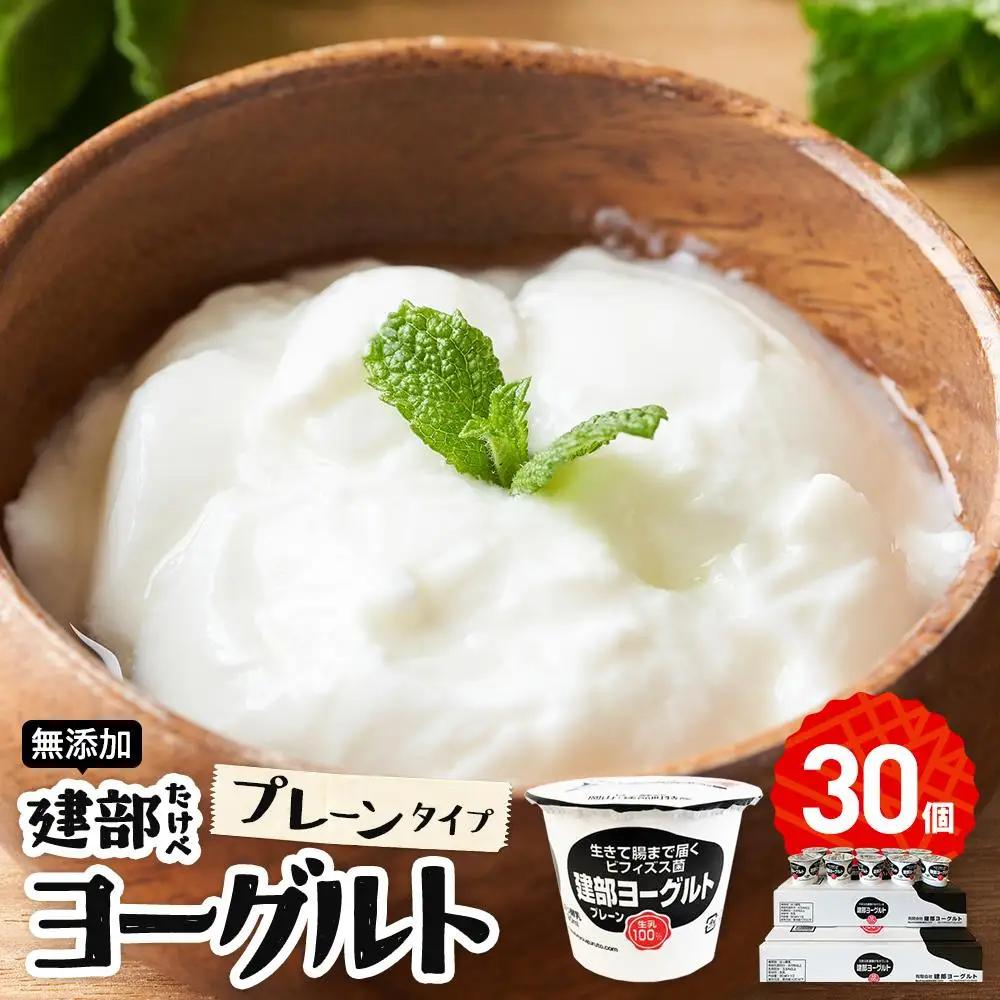 無添加　建部ヨーグルト（プレーンタイプ）30個 [No.5220-0040]