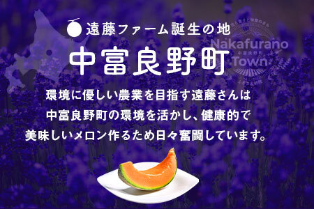 【2026年発送】遠藤ファームの中富良野メロン青肉大玉2玉（計3.2kg以上）【AX-008】