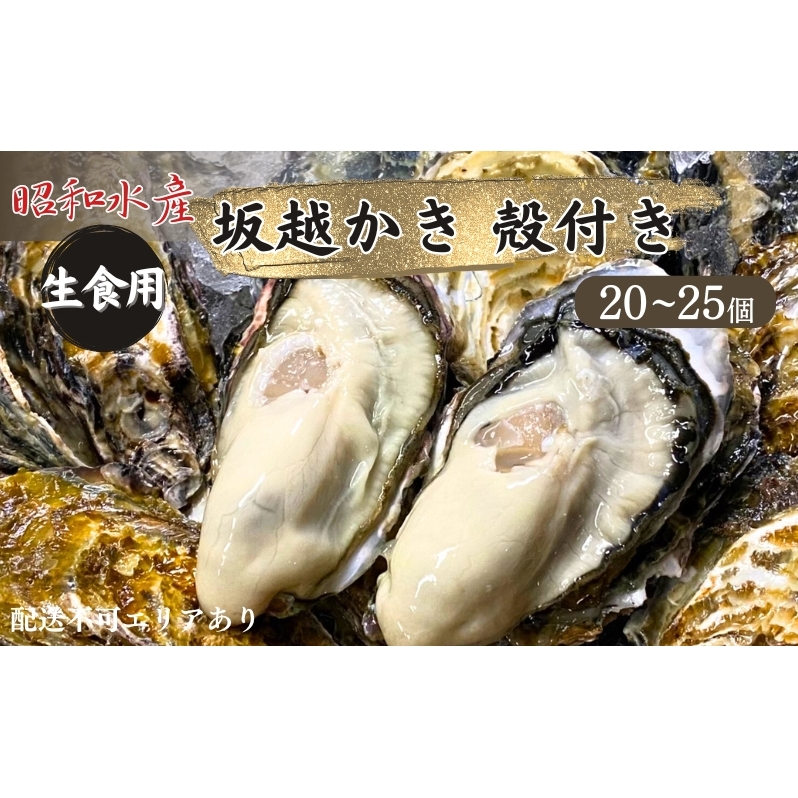 牡蠣 生食用 坂越かき 殻付き 20～25個 昭和水産 [ 生牡蠣 真牡蠣 かき カキ 冬牡蠣 ]