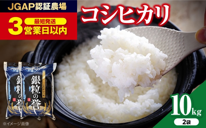 
                  令和7年産 こしひかり 白米 10kg（5kg×2袋） スピード発送 コシヒカリ 米 お米 白米 米 精米 白米 はくまい こめ 小分け 米10kg おこめ コメ ブランド米 国産 広島県産 ごはん ご飯 精米 精白米 お歳暮 定期便 送料無料 2袋 精米 食卓 主食 食事 料理 自炊 お弁当 おむすび 朝食 粘り おいしい 三次市 / アグリ君田[APDC002]
                