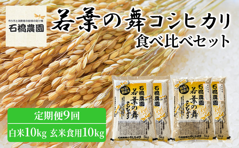 米 若葉の舞 コシヒカリ 白米10kg玄米食用10kg 食べ比べセット 定期便9回 こしひかり お米 白米 玄米 セット 食べ比べ 定期便 精米 千葉 千葉県 低温保存